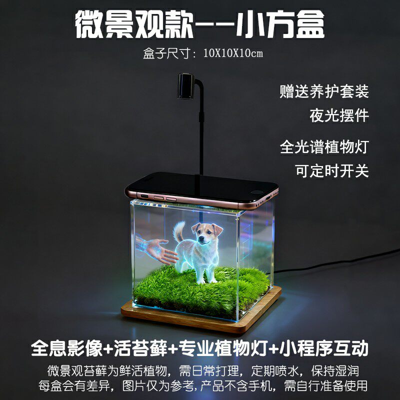Eco Moss Mobile Box